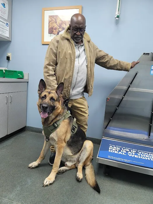 Willingboro Veterinary Clinic 3
