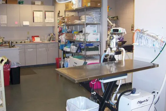 Willingboro Veterinary Clinic 5