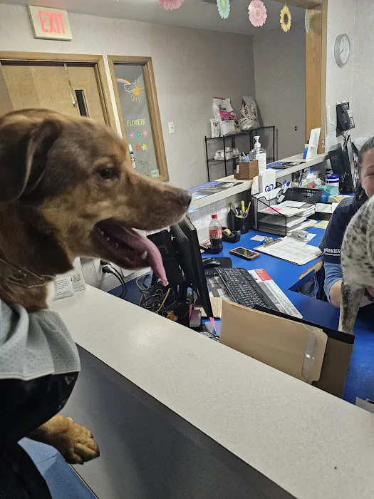 Evesham Veterinary Clinic: Bell Jaclyn DVM 12