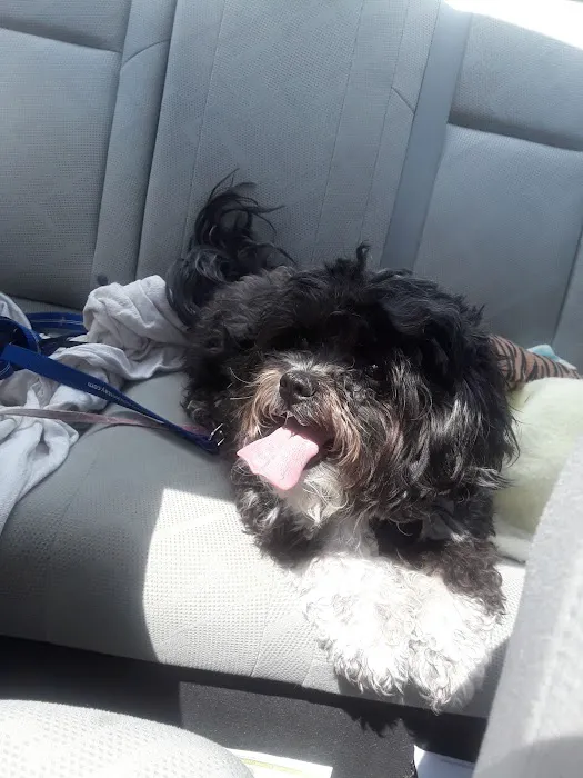Evesham Veterinary Clinic: Bell Jaclyn DVM 12