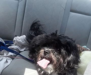 Evesham Veterinary Clinic: Bell Jaclyn DVM