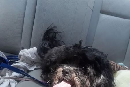 Evesham Veterinary Clinic: Bell Jaclyn DVM