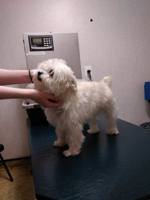 Evesham Veterinary Clinic: Bell Jaclyn DVM 12
