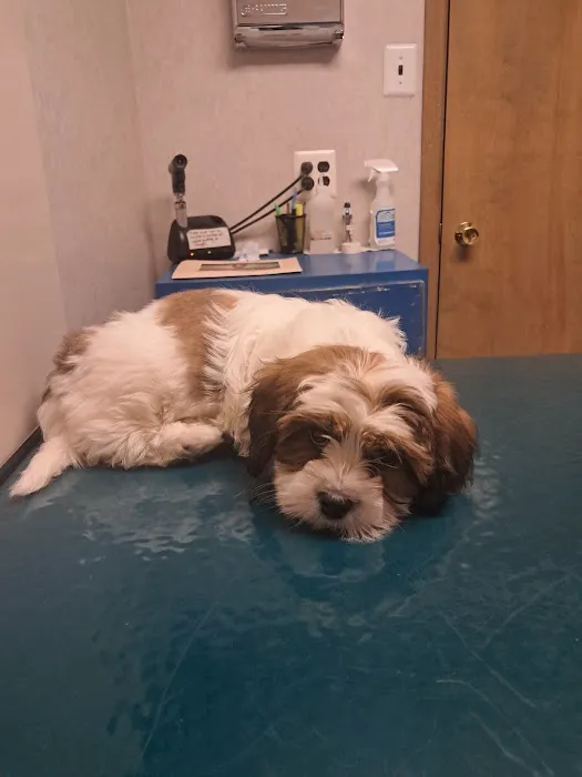 Evesham Veterinary Clinic: Bell Jaclyn DVM 12