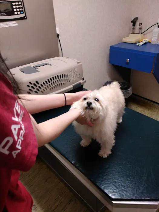 Evesham Veterinary Clinic: Bell Jaclyn DVM 12