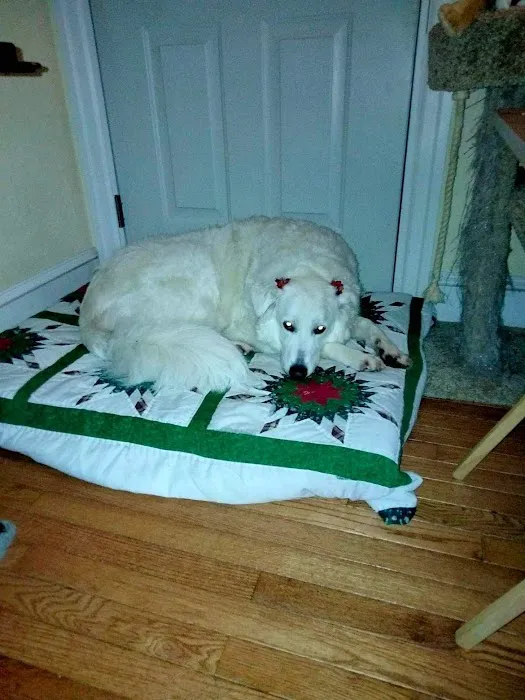 Cinnaminson Animal Hospital 9
