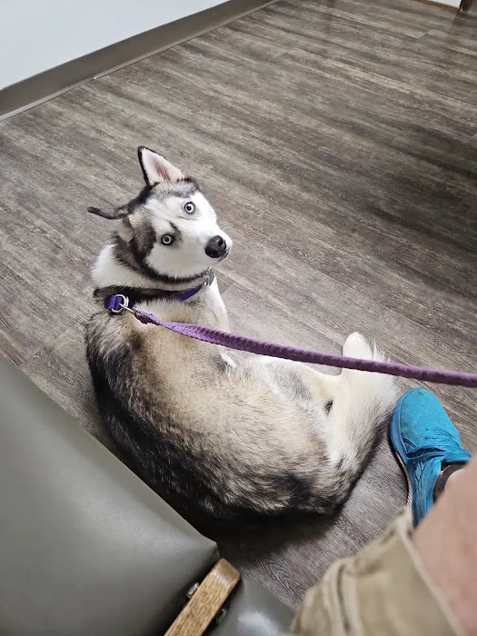 Cinnaminson Animal Hospital 8