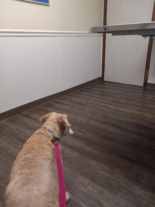 Cinnaminson Animal Hospital 1