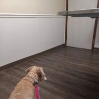 Cinnaminson Animal Hospital ico