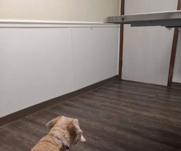Cinnaminson Animal Hospital
