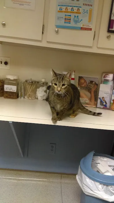 Cinnaminson Animal Hospital 4
