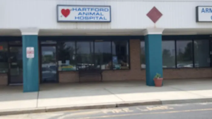 Hartford Animal Hospital 1
