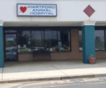 Hartford Animal Hospital