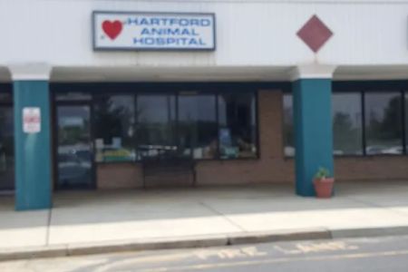 Hartford Animal Hospital