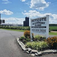 Peticote Veterinary Clinic, LLC ico