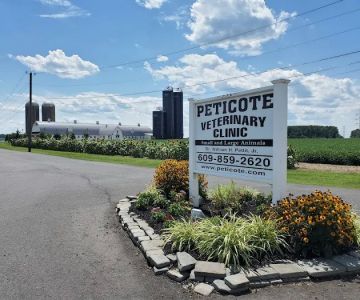 Peticote Veterinary Clinic, LLC