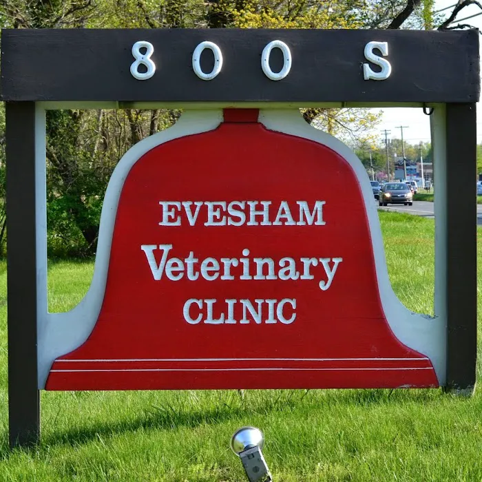 Evesham Veterinary Clinic 9