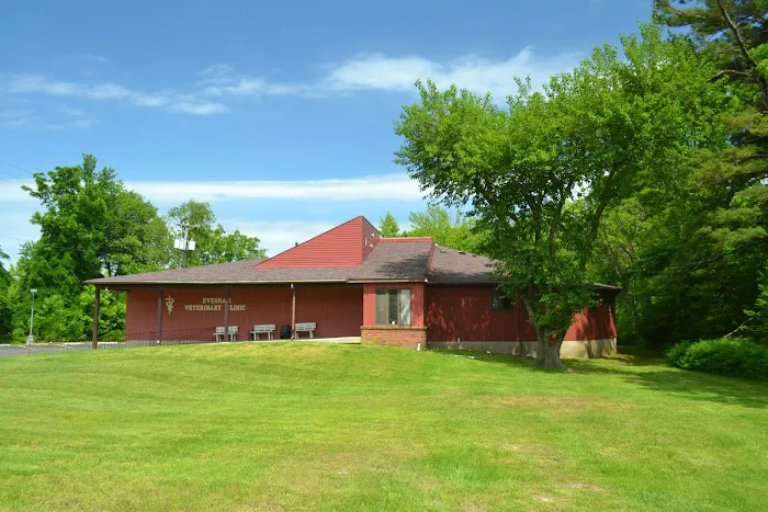 Evesham Veterinary Clinic 8