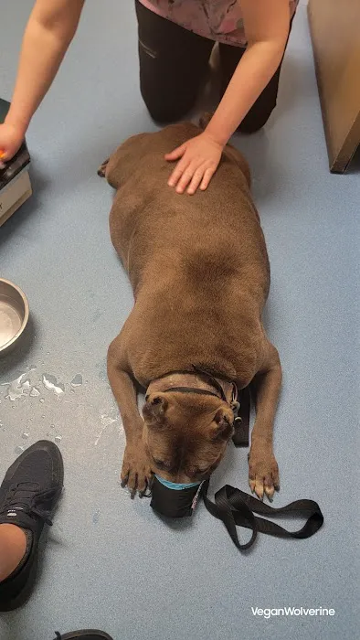 Evesham Veterinary Clinic 7