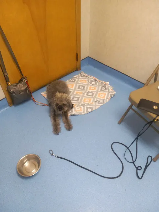 Evesham Veterinary Clinic 4