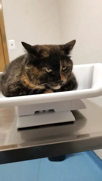Evesham Veterinary Clinic 5