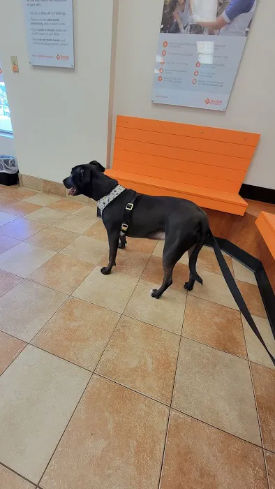 Banfield Pet Hospital 12