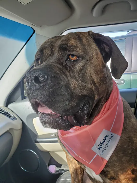 Banfield Pet Hospital 12
