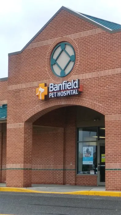 Banfield Pet Hospital 12