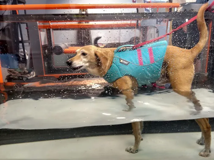Haven Animal Health Services | Home of PetPT 12