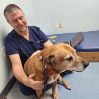 Haven Animal Health Services | Home of PetPT ico