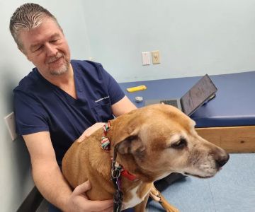Haven Animal Health Services | Home of PetPT