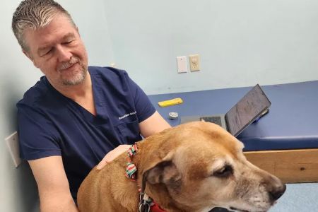 Haven Animal Health Services | Home of PetPT
