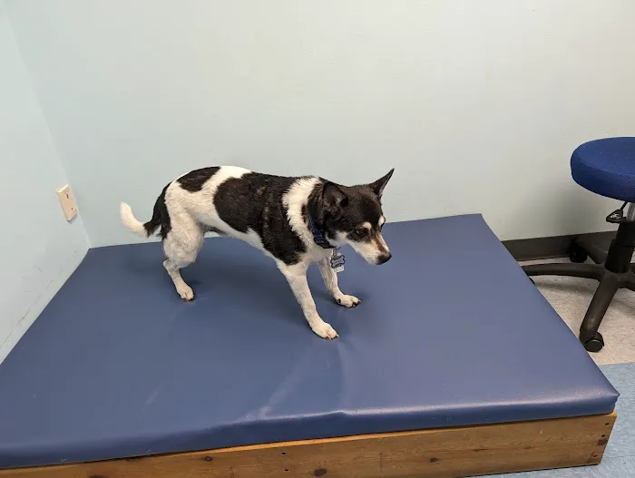 Haven Animal Health Services | Home of PetPT 12