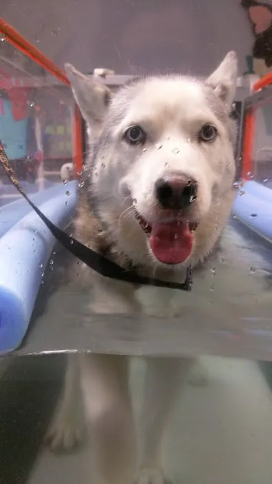 Haven Animal Health Services | Home of PetPT 12