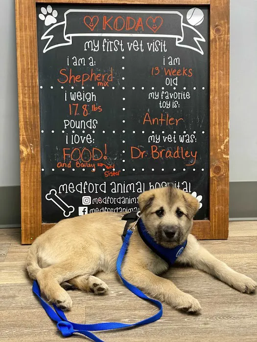 Medford Animal Hospital 12
