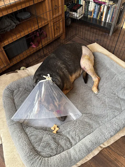 BluePearl Pet Hospital 9