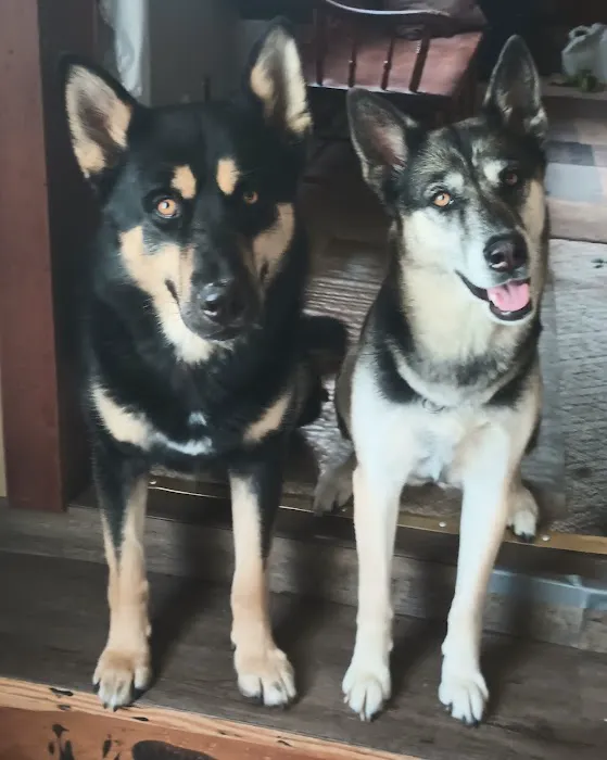 Pinelands Veterinary Clinic 12