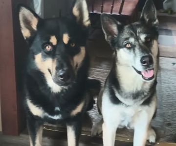 Pinelands Veterinary Clinic