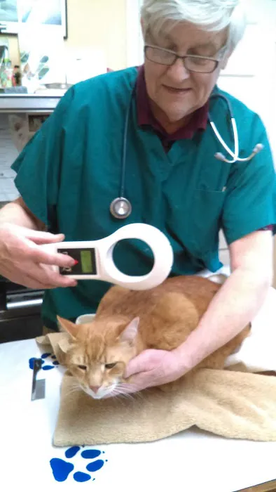 Pinelands Veterinary Clinic 12