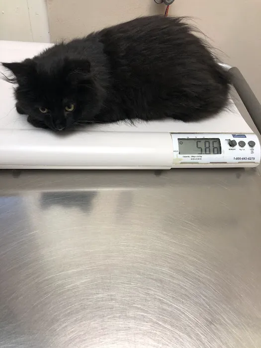 Marlton Animal Hospital 12