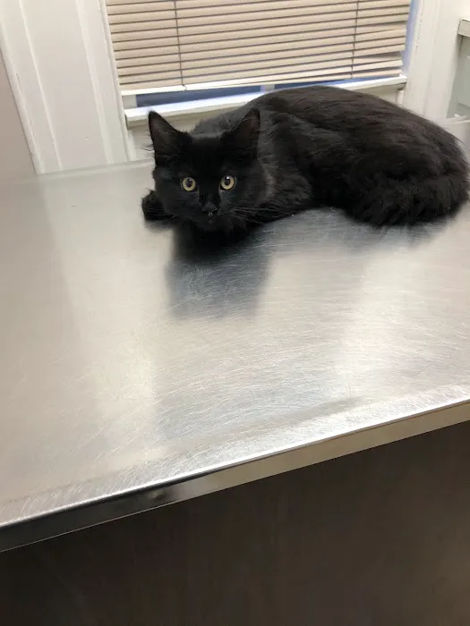 Marlton Animal Hospital 12