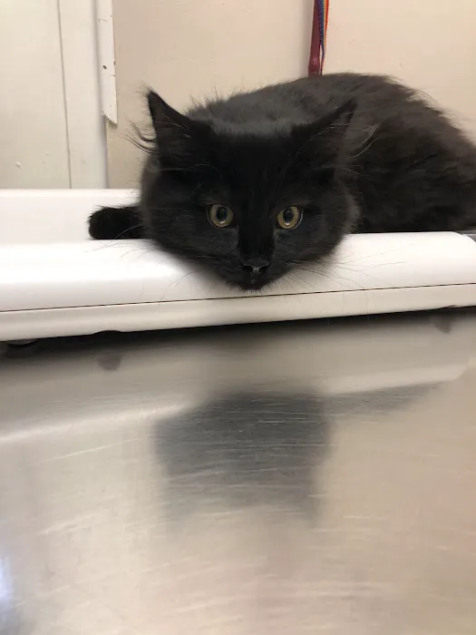 Marlton Animal Hospital 12