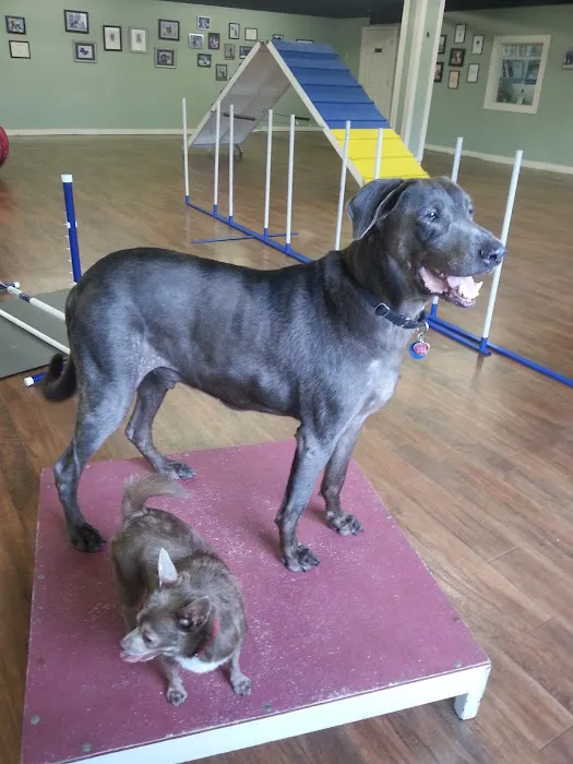 Marlton Animal Hospital 12