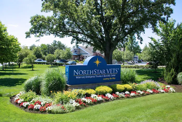 NorthStar VETS 9