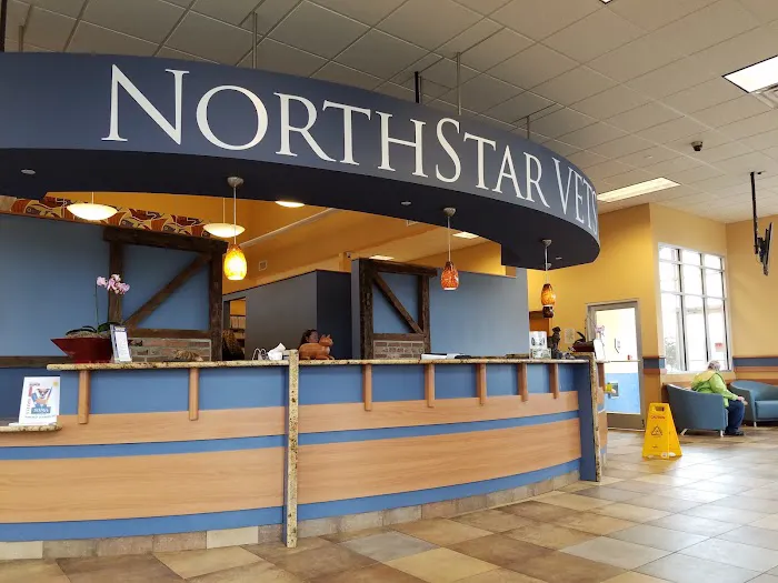 NorthStar VETS 7