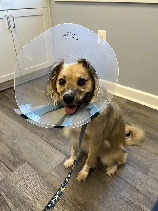 Columbus Central Veterinary Hospital 5