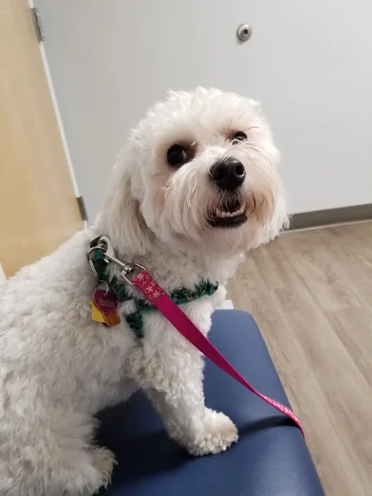 Columbus Central Veterinary Hospital 10