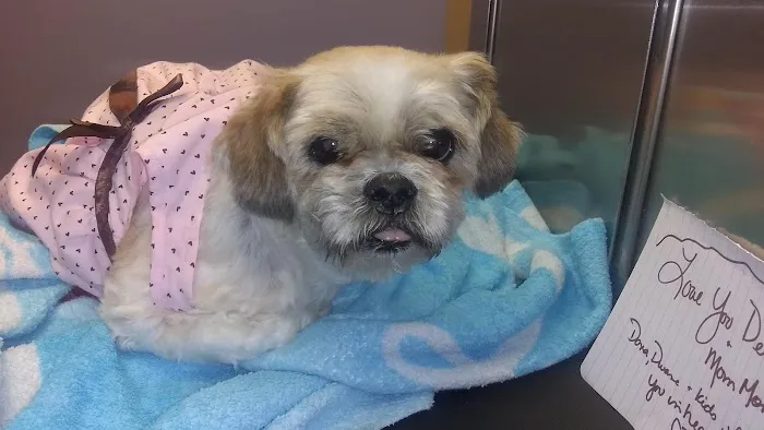 Bryan Animal Hospital 12