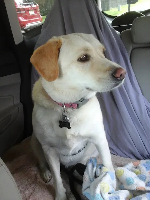 Bryan Animal Hospital 12