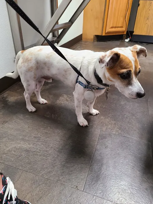 Paws 'N Claws Veterinary Clinic LLC 1